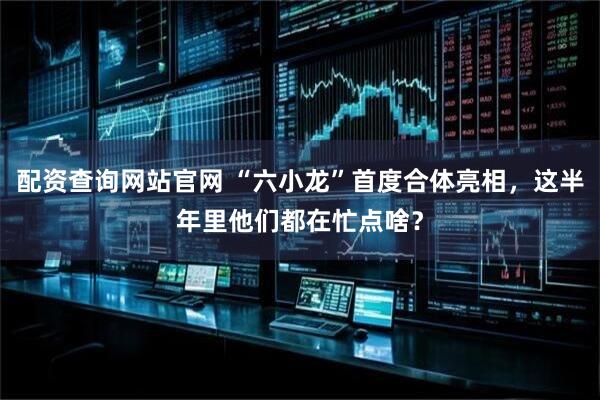 配资查询网站官网 “六小龙”首度合体亮相，这半年里他们都在忙点啥？