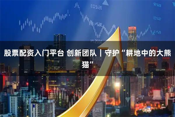 股票配资入门平台 创新团队｜守护“耕地中的大熊猫”