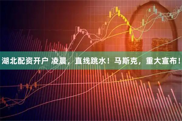 湖北配资开户 凌晨，直线跳水！马斯克，重大宣布！